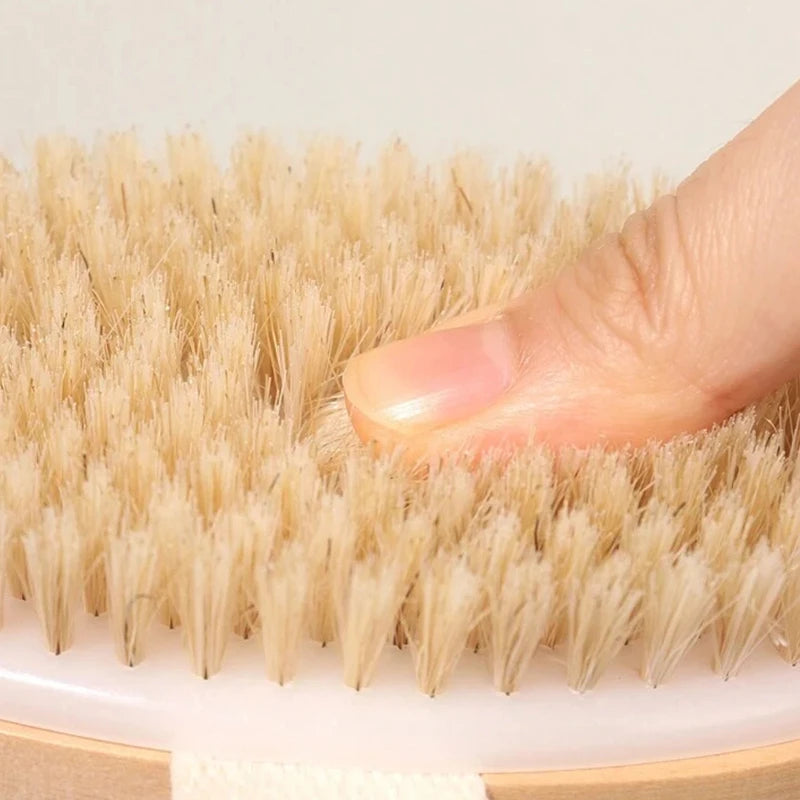 Body Brush for Cellulite & Lymphatic Drainage — Natural Pig Bristle Wet Dry Exfoliating Spa